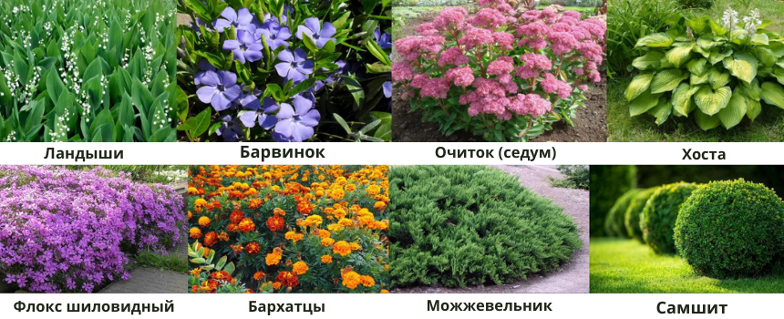 цветы на могилу